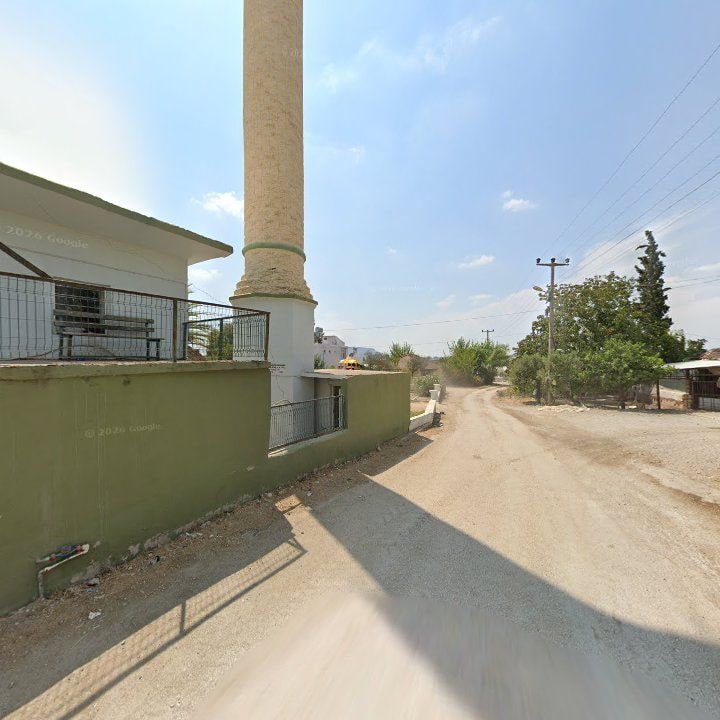 Fotoğraf 3