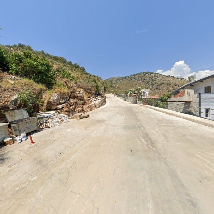 Fotoğraf 11