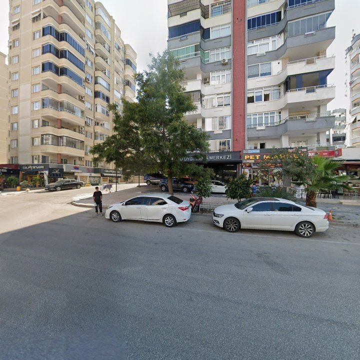 Fotoğraf 4