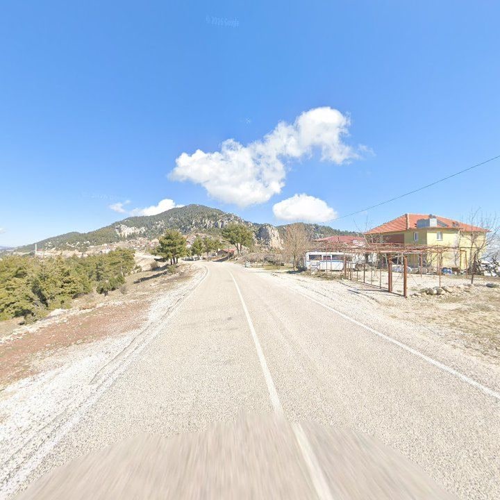 Fotoğraf 8