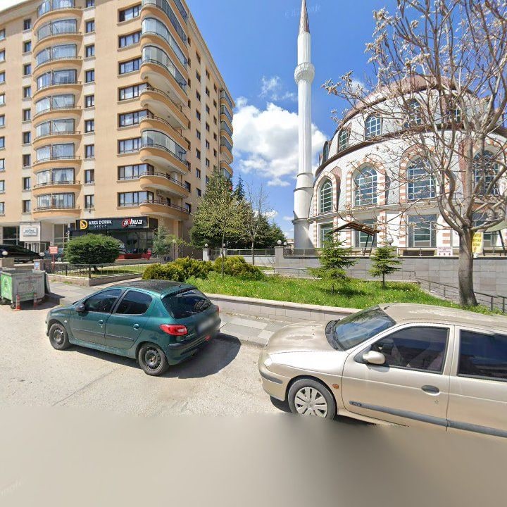 Fotoğraf 7