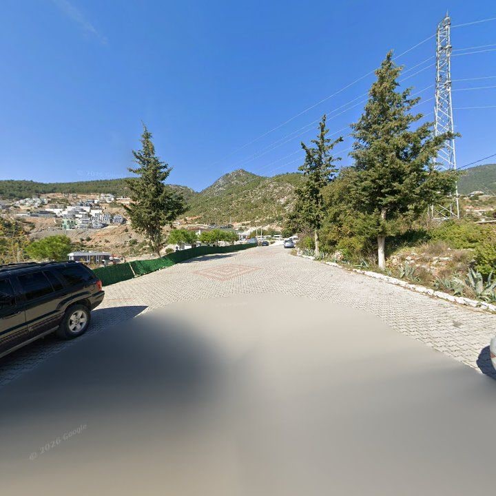 Fotoğraf 10