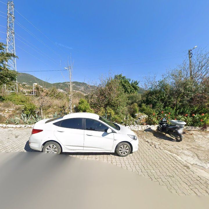 Fotoğraf 11