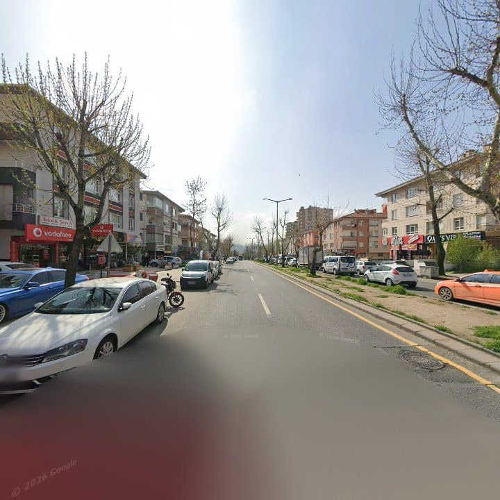Fotoğraf 7