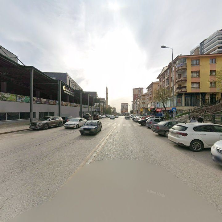 Fotoğraf 9