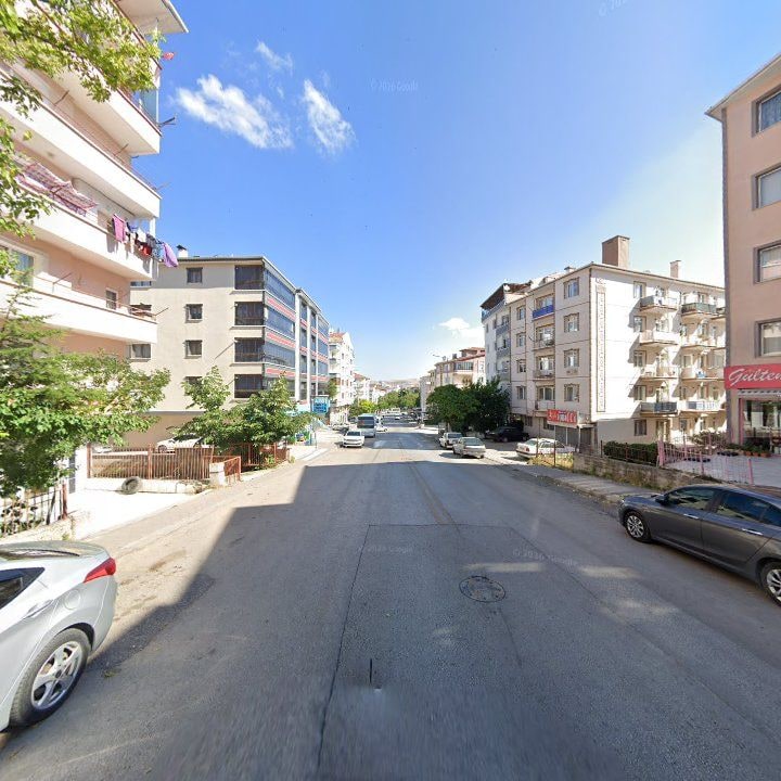 Fotoğraf 9