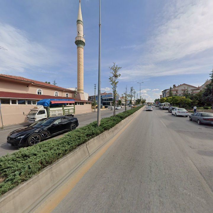 Fotoğraf 7