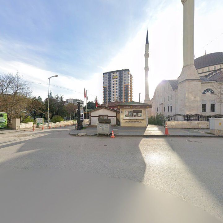 Fotoğraf 6
