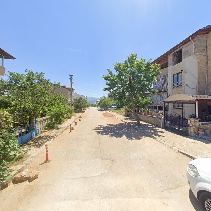 Fotoğraf 10