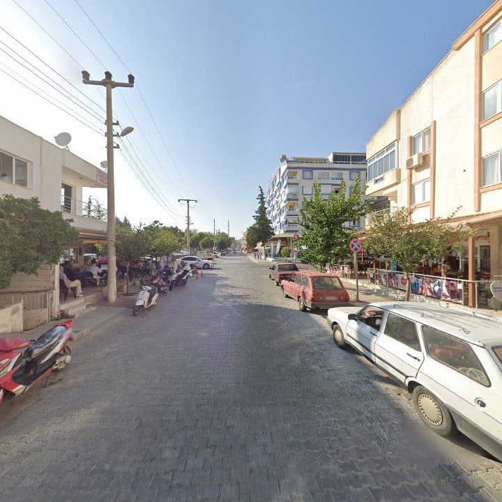 Fotoğraf 11
