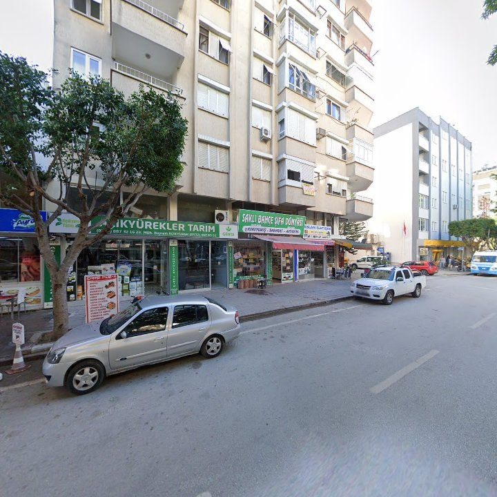 Fotoğraf 6