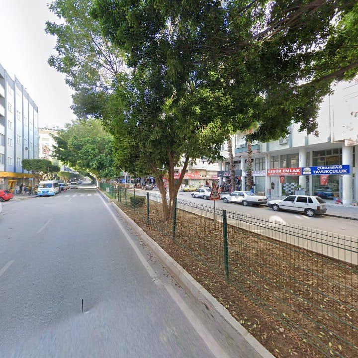 Fotoğraf 7