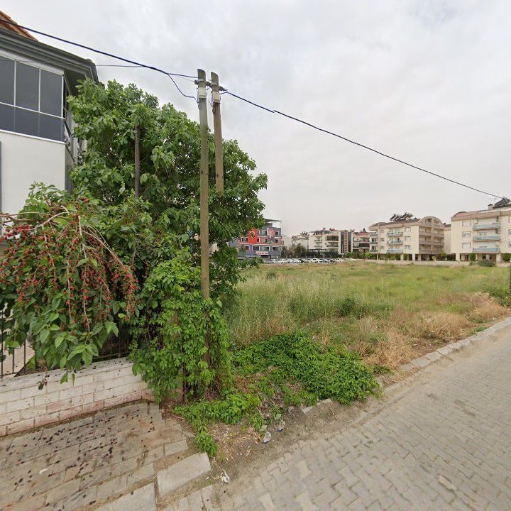 Fotoğraf 11