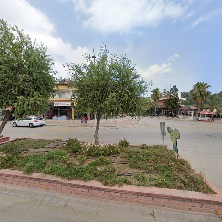 Fotoğraf 8