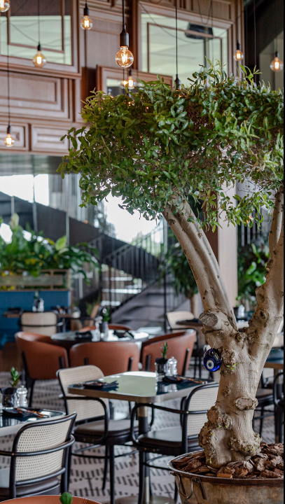 Zoie Brasserie & Lounge