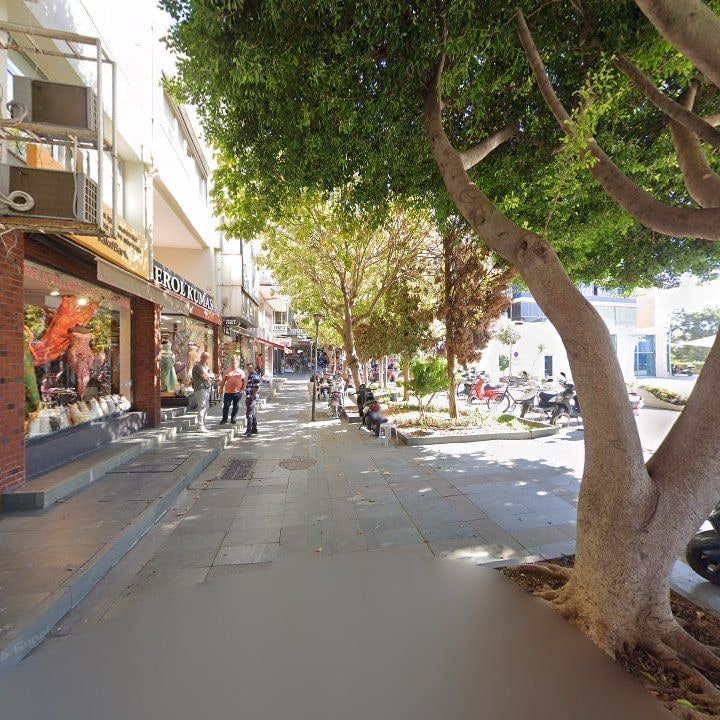 Fotoğraf 12