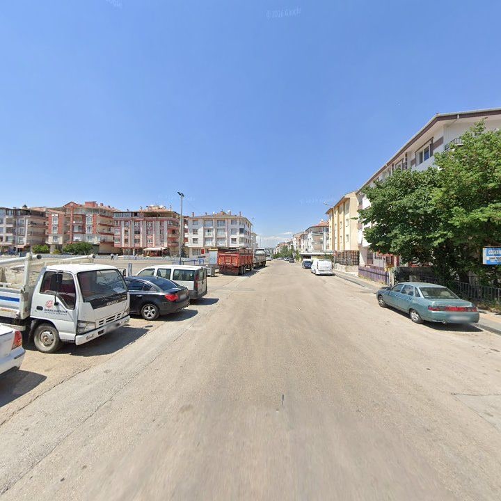 Fotoğraf 8