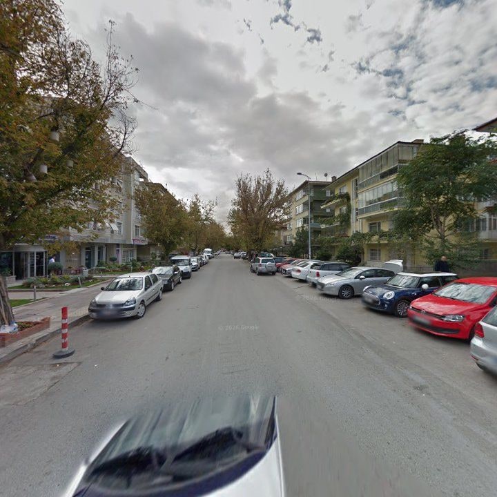 Fotoğraf 12