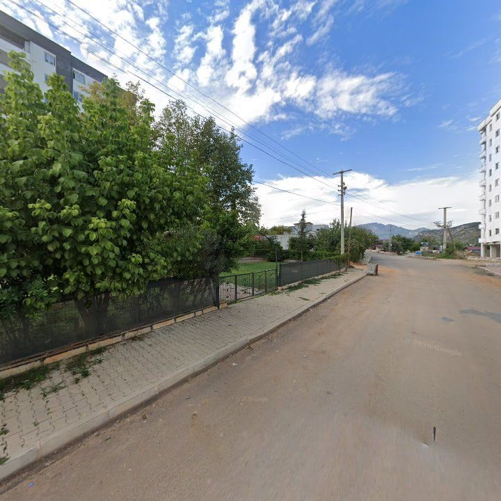 Fotoğraf 8