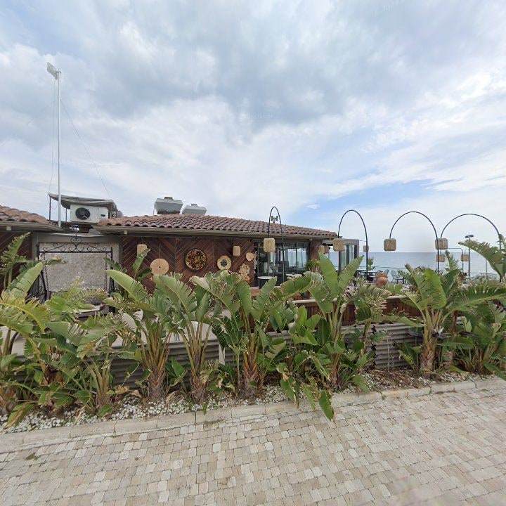 Fotoğraf 10