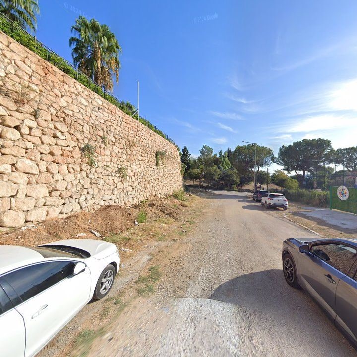 Fotoğraf 10