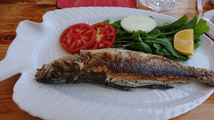 Fotoğraf 17