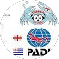 Georgia İnternational Dive Academy