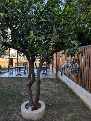 Fotoğraf 26