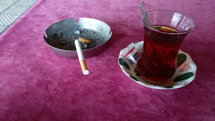 Fotoğraf 16