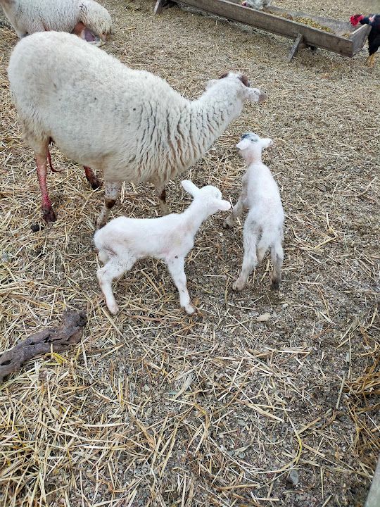 Yorum fotoğrafı 3