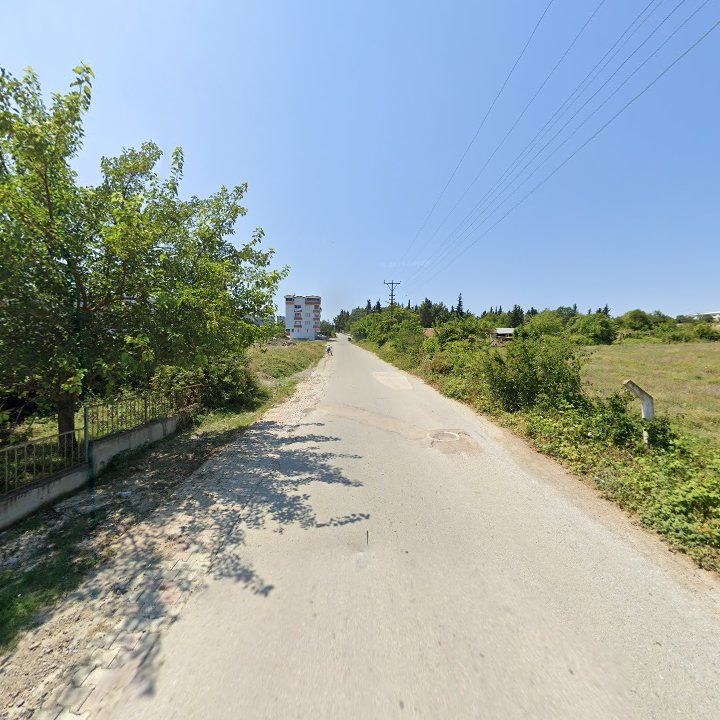 Fotoğraf 5