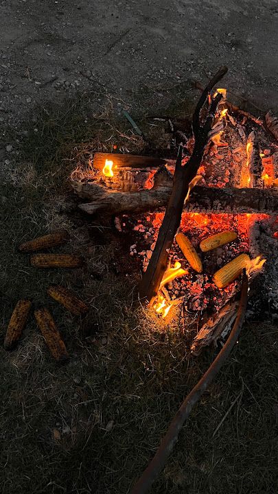 Devrem Gece Döneri Gerze