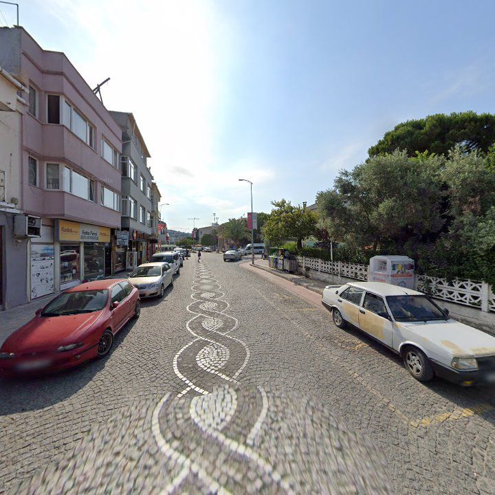 Fotoğraf 5