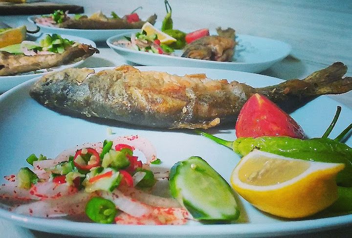 Karacasu Alabalık Tesisi Girişi