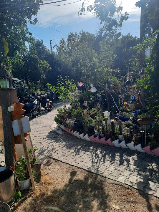 Yorum fotoğrafı 3