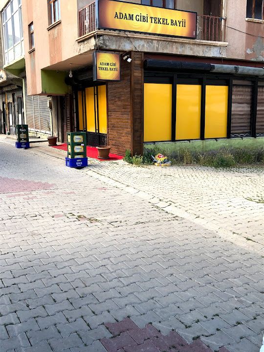 Adam Gibi Bar