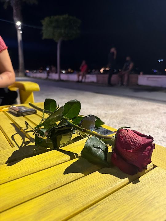 Fotoğraf 12