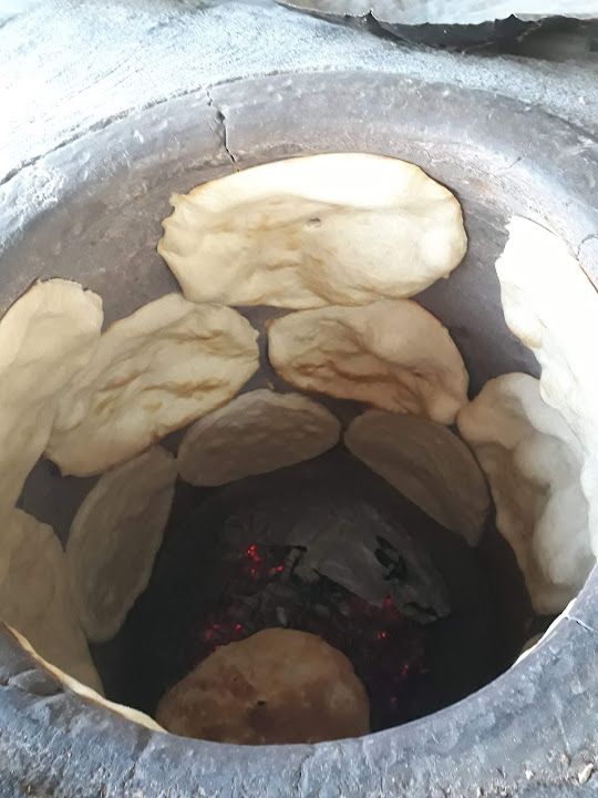 Fotoğraf 16
