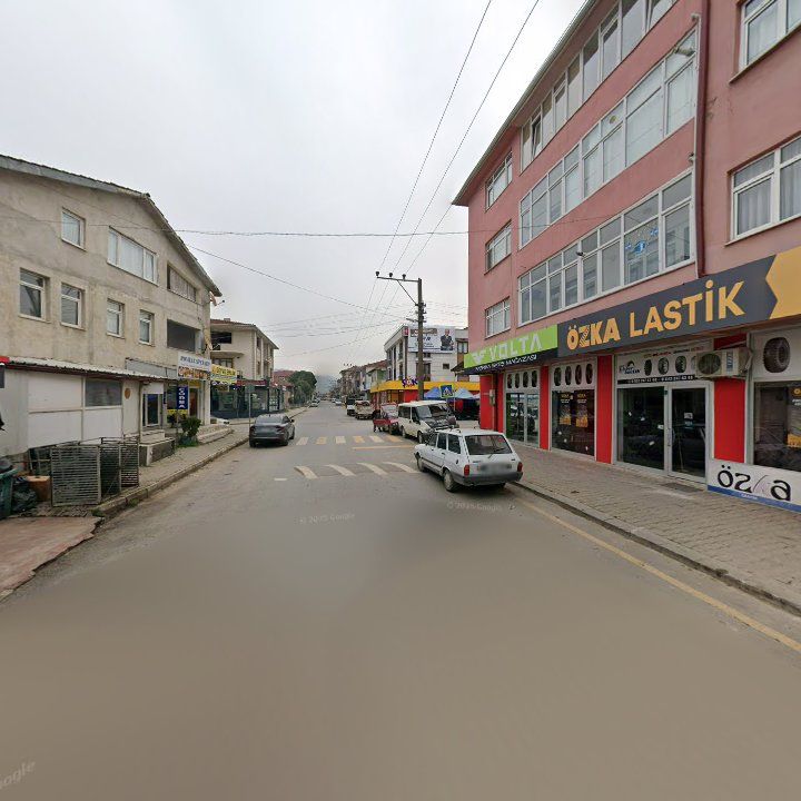 Fotoğraf 8