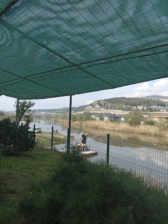 Yorum fotoğrafı 3