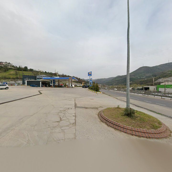 Fotoğraf 8