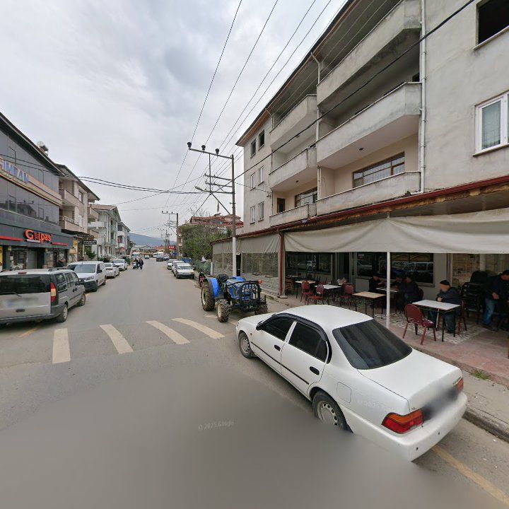 Fotoğraf 7