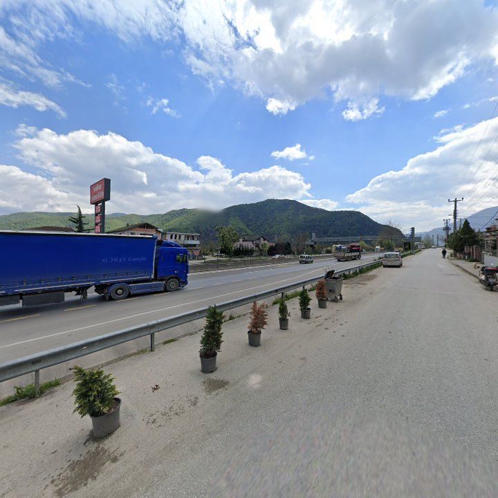 Fotoğraf 11