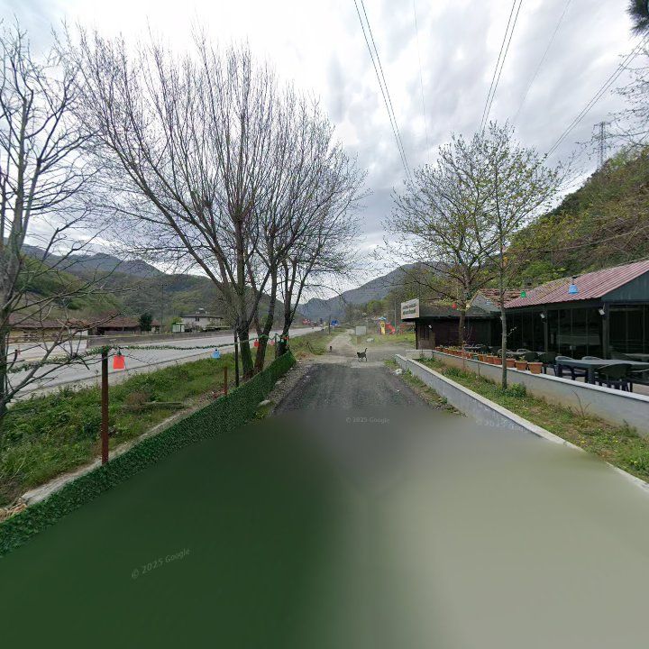 Fotoğraf 11
