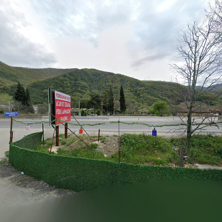 Fotoğraf 10