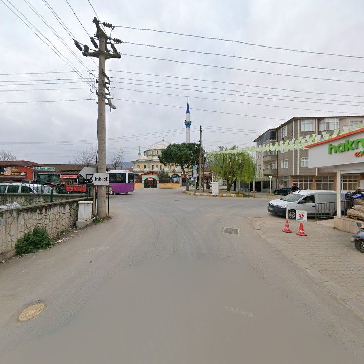 Fotoğraf 7