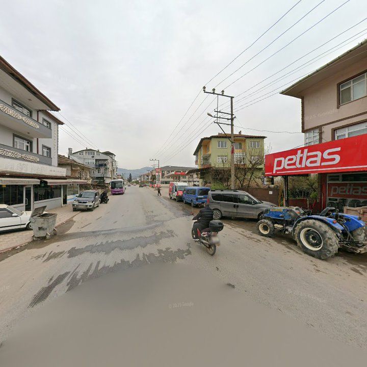 Fotoğraf 8