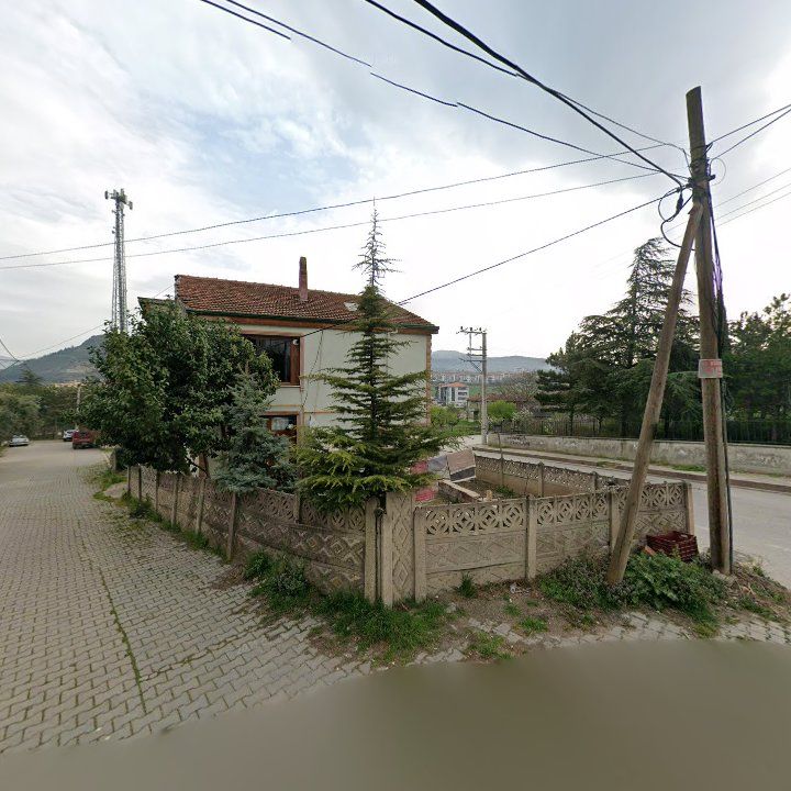 Fotoğraf 6