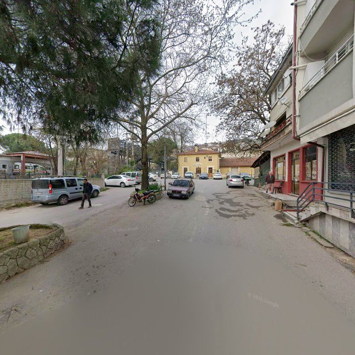 Fotoğraf 8