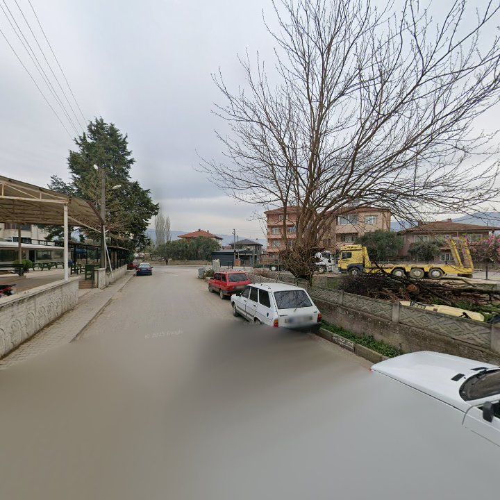 Fotoğraf 3